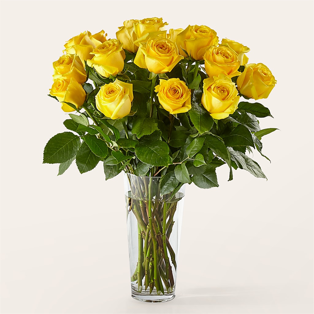 Long Stem Yellow Rose Bouquet – Magnolia Oaks Florist, Tyrone GA