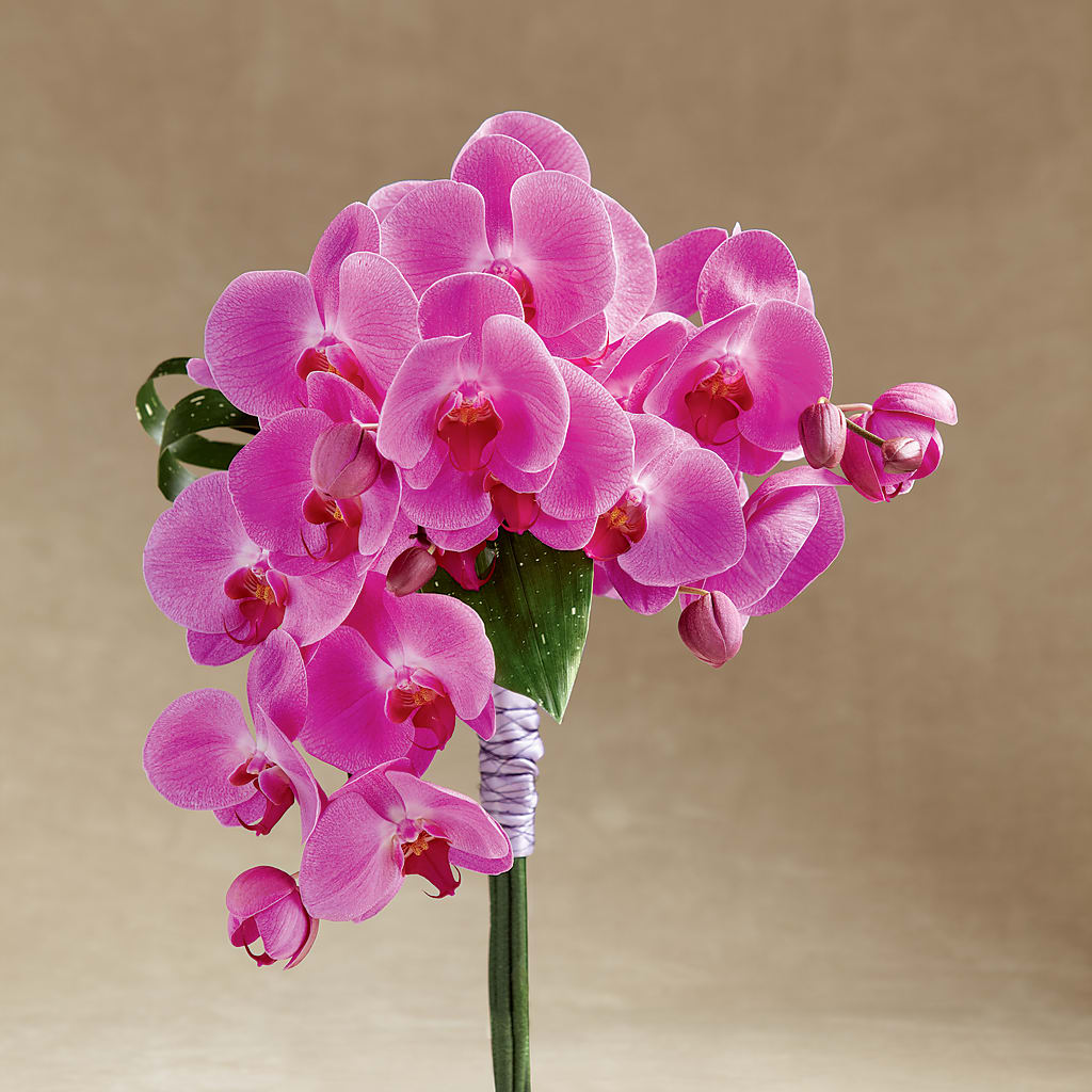 Glorious Bouquet – Magnolia Oaks Florist, Tyrone GA