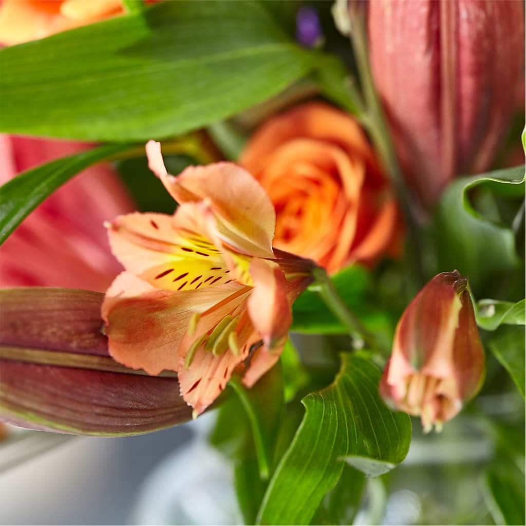 Bold & Bright – A Florist Original –  Magnolia Oaks Florist, Tyrone GA