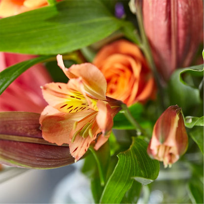 Bold & Bright – A Florist Original –  Magnolia Oaks Florist, Tyrone GA