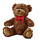 Adorable Plush Bear –  Magnolia Oaks Florist, Tyrone GA