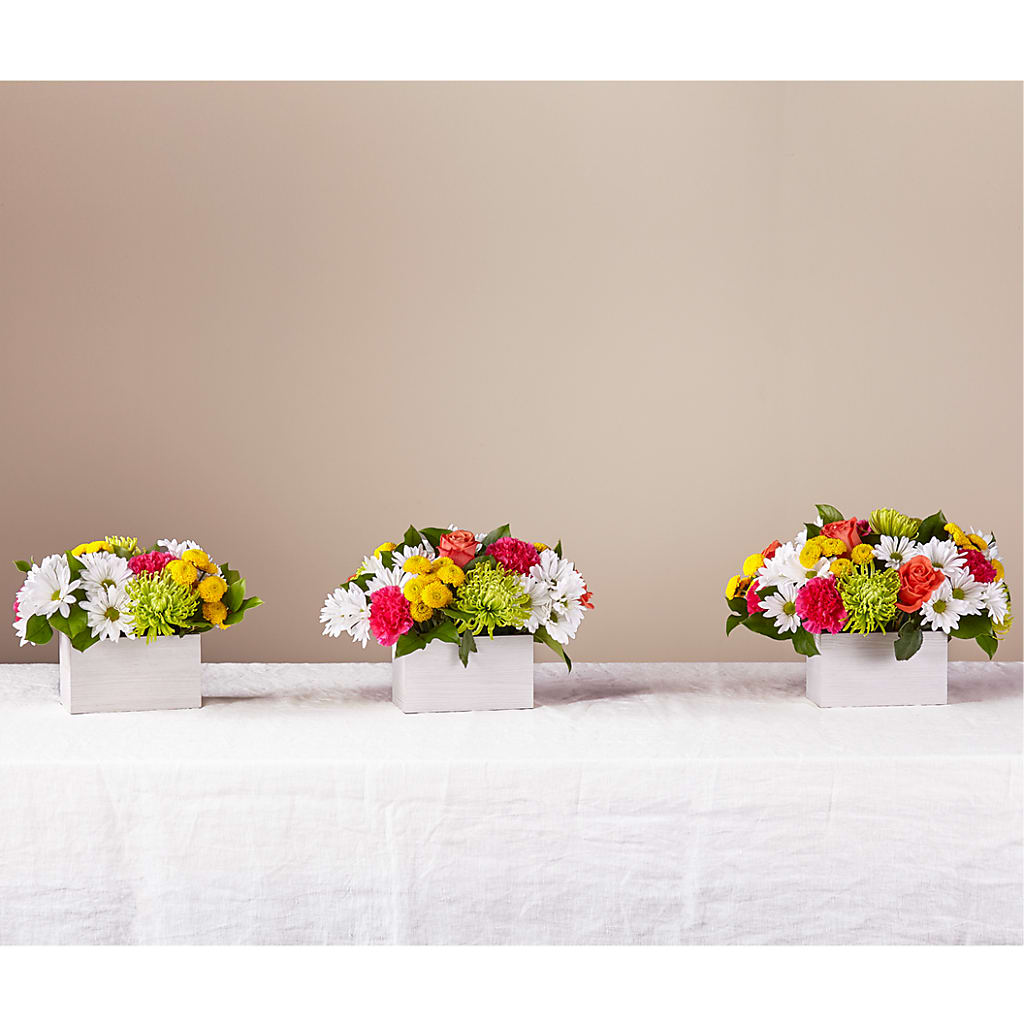 Sorbet Bouquet –  Magnolia Oaks Florist, Tyrone GA