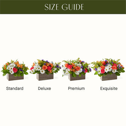 Oopsie Daisy Box Bouquet –  Magnolia Oaks Florist, Tyrone GA