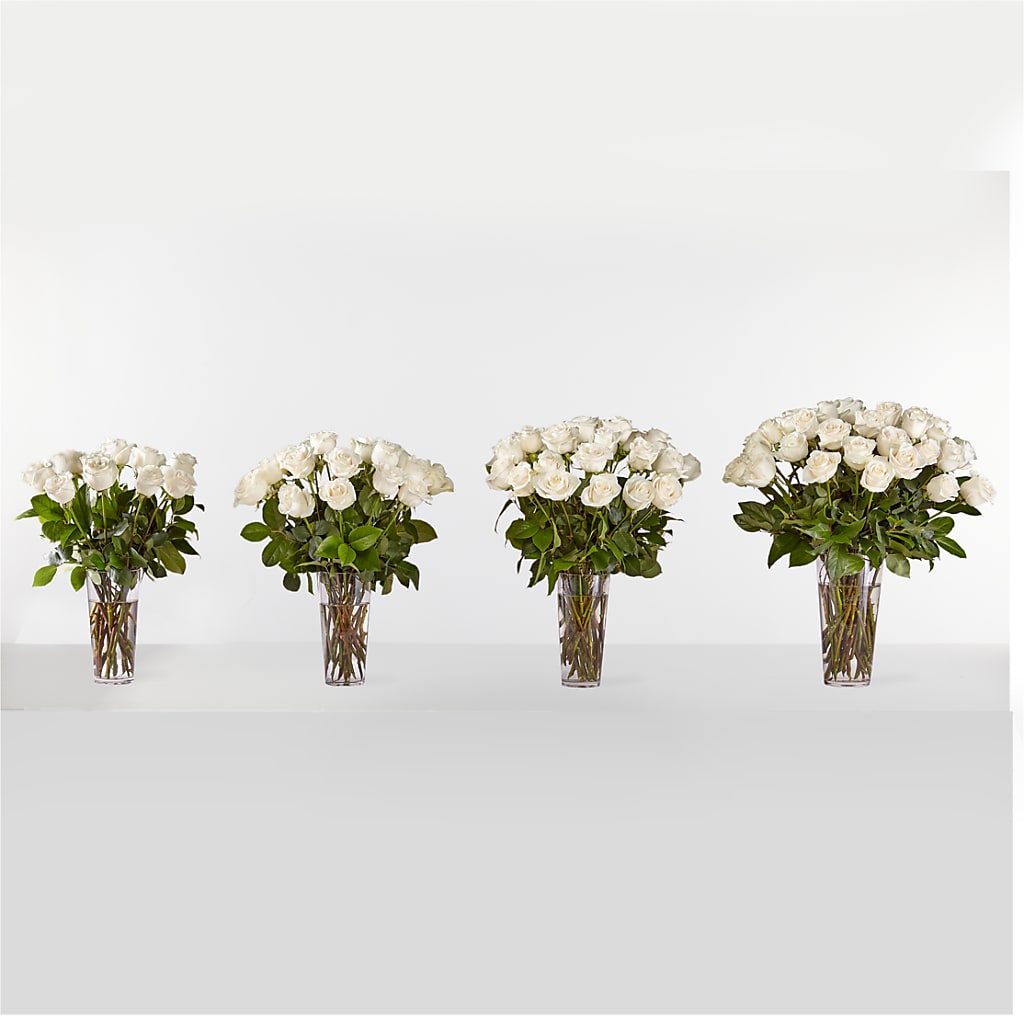 Long Stem White Rose Bouquet –  Magnolia Oaks Florist, Tyrone GA