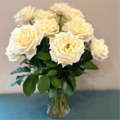 Long Stem Yellow Rose Bouquet –  Magnolia Oaks Florist, Tyrone GA