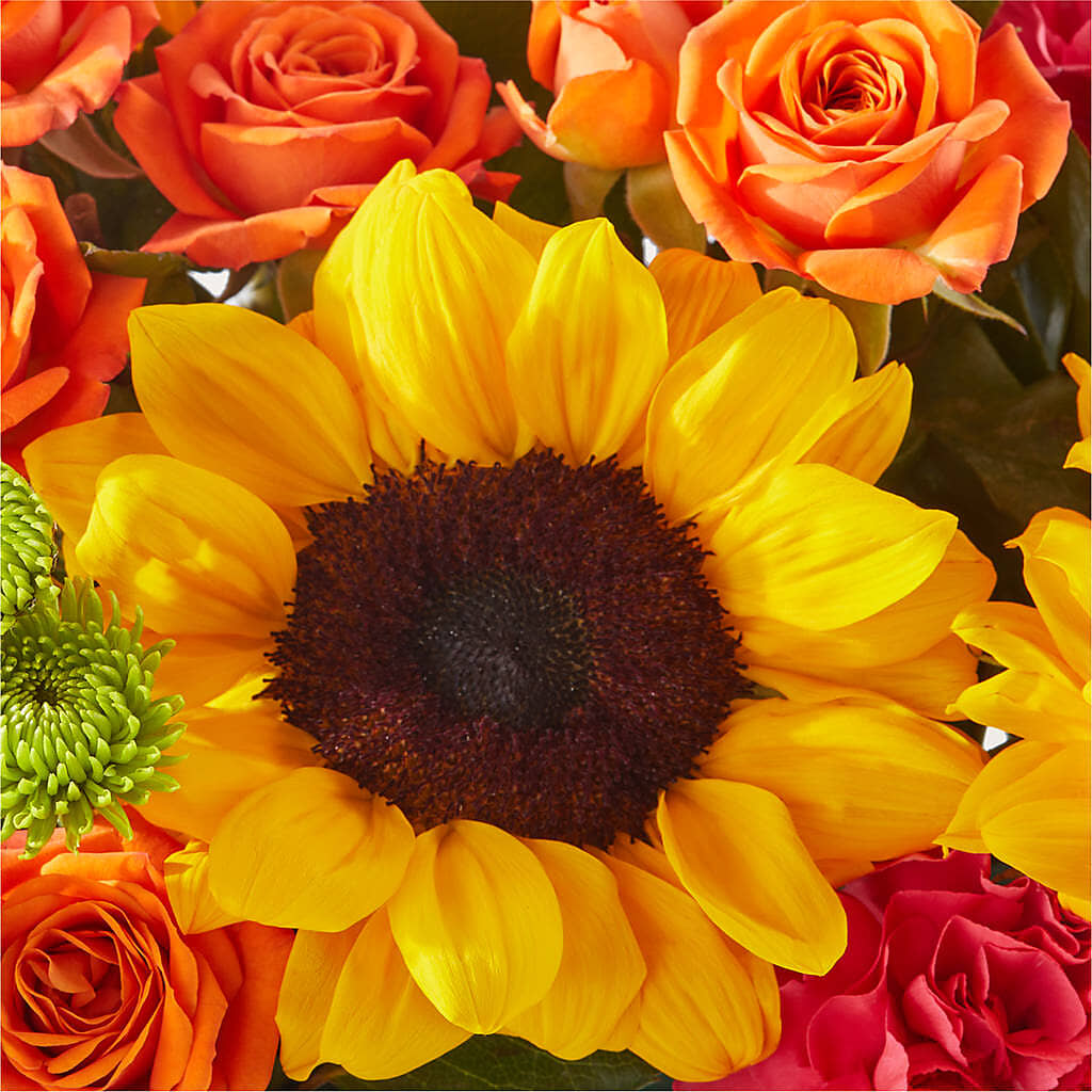 Sun-drenched Blooms Box Bouquet –  Magnolia Oaks Florist, Tyrone GA