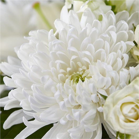 Classic Ivory – A Florist Original –  Magnolia Oaks Florist, Tyrone GA