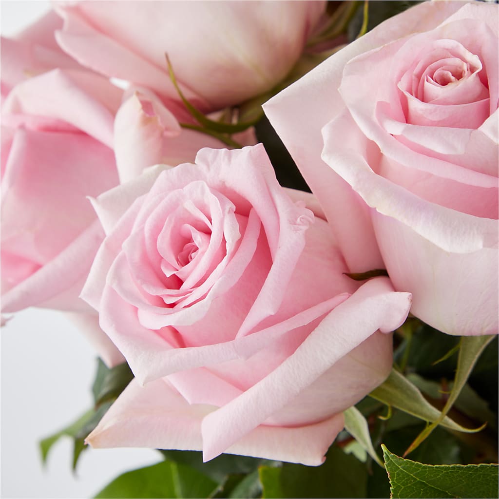 Picture Perfect Pink Rose Bouquet –  Magnolia Oaks Florist, Tyrone GA