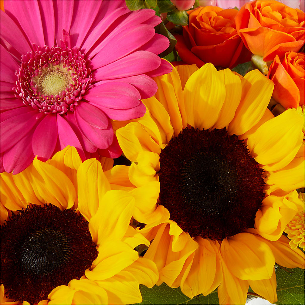 Beach Day Bouquet –  Magnolia Oaks Florist, Tyrone GA